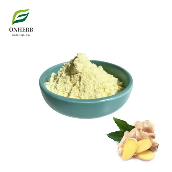 Ginger Root Extract Powder